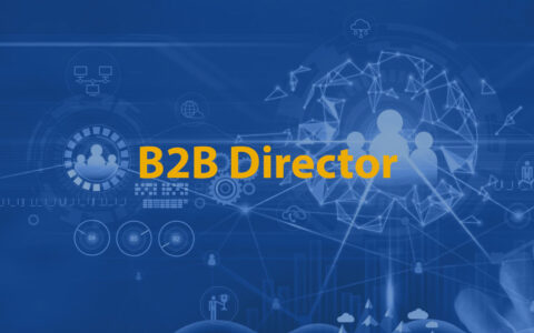 B2B Director