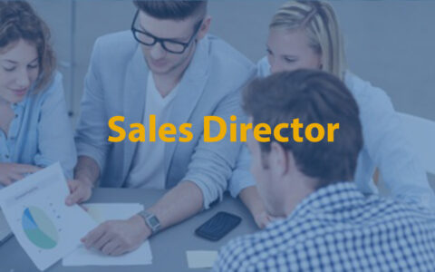 Sales Director